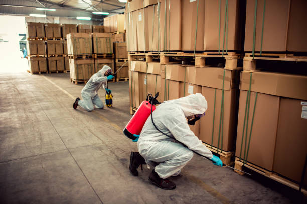 Best Affordable Pest Control Services  in Buenaventura Lakes, FL