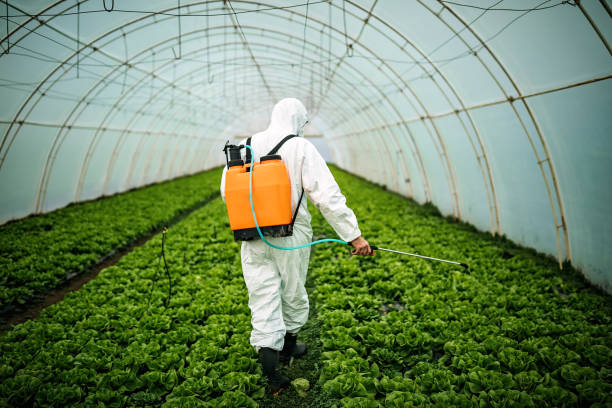Best Mosquito Control Services  in Buenaventura Lakes, FL