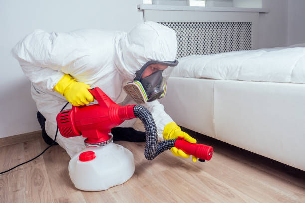 Best Flea Control Services  in Buenaventura Lakes, FL