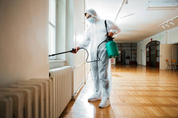 Best Termite Control Services  in Buenaventura Lakes, FL