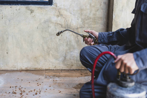 Best Pest Control for Homes  in Buenaventura Lakes, FL