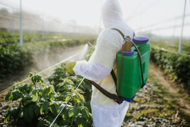 Best Residential Pest Control  in Buenaventura Lakes, FL